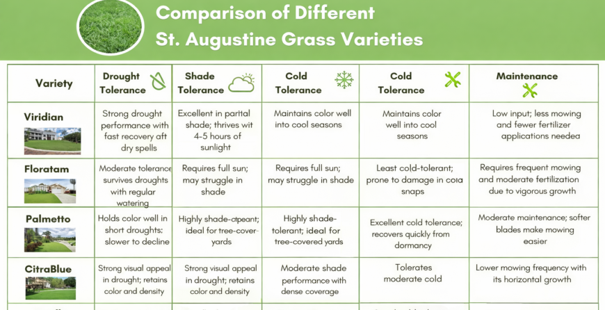 choosing the right grass